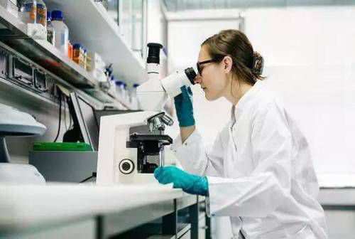 1719643976778728.jpg 1576898651130135.jpg