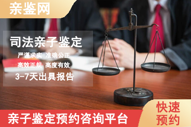 1764924197632085.png 网站模板司法2.png