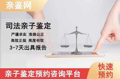 1766988098531922.png 网站模板司法10.png