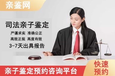 网站模板司法8.png