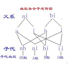A98.jpg