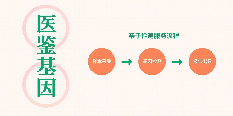 制作亲子鉴定图片 (1).jpg