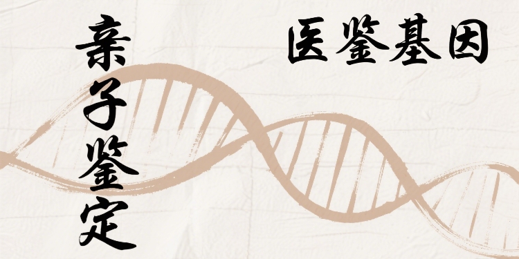 制作亲子鉴定图片 (6).jpg